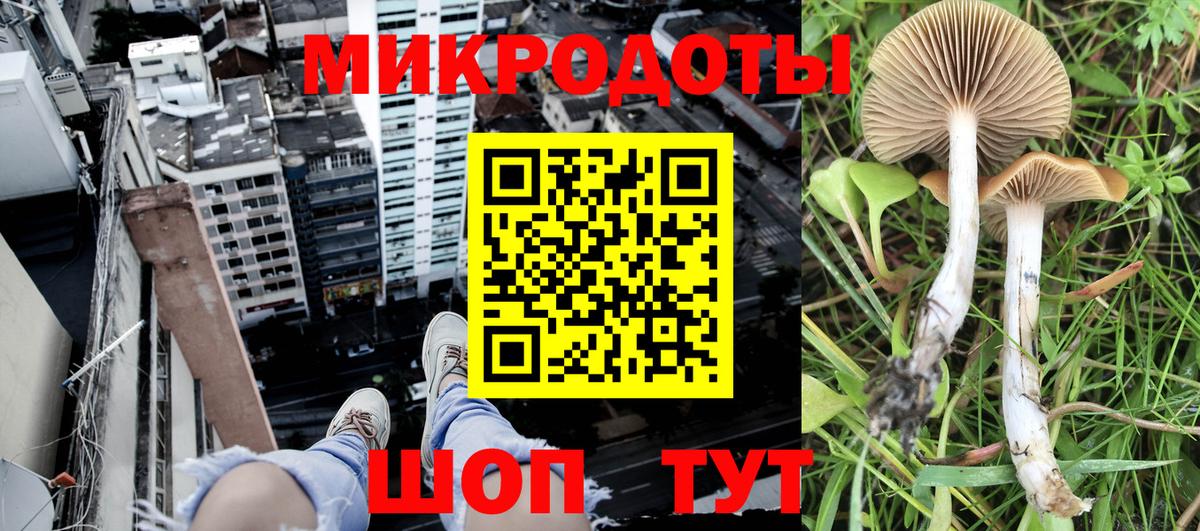 Галлюциногенные грибы ЛСД  Вход с VPN  Кулебаки 